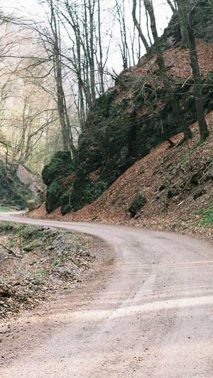 权重蜘蛛池怎么做截图3