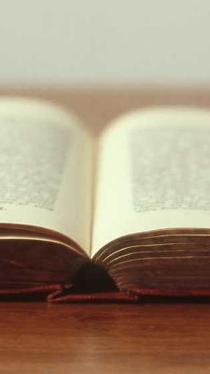 红蜘蛛池效果怎么样截图1