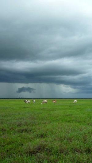 无限泛目录程序截图3