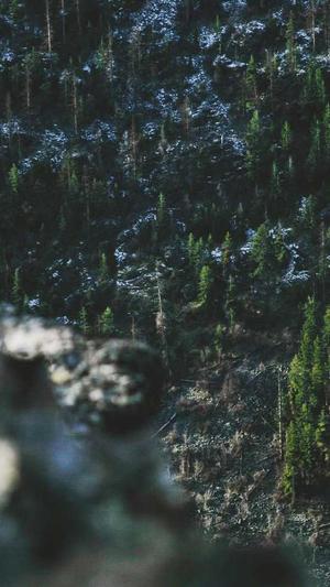 大连网站建设公司截图2