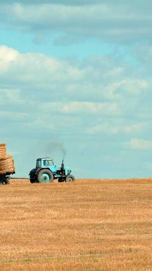 黑侠蜘蛛池吾爱截图2