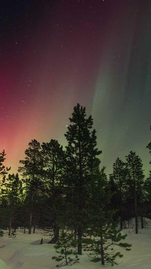 seo搜索优化工具截图2