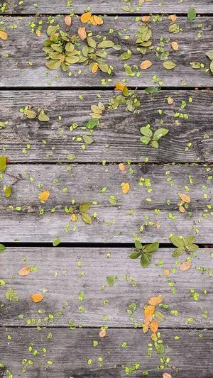 易站蜘蛛池截图1