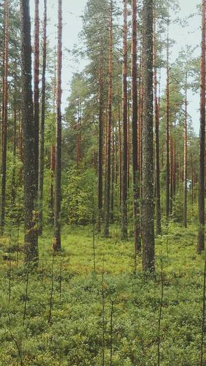 企业网站怎么建设截图3