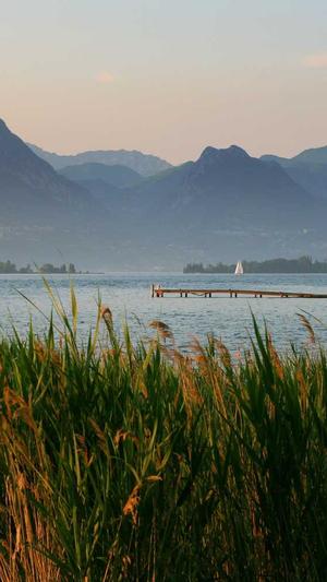 外贸网站模板外贸网站建设截图5