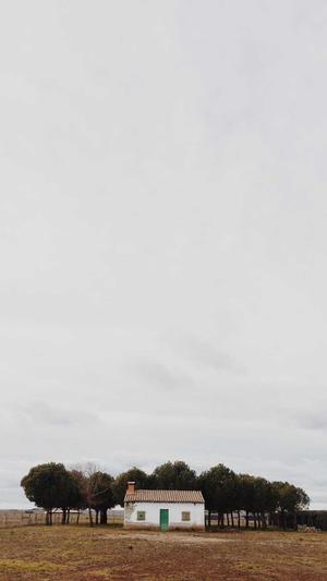 上海网站建设公司排行截图5