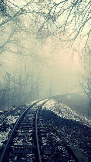 seo优化网站建设截图4