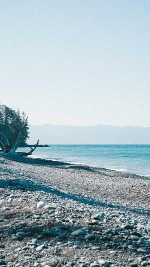 网站建设知识截图2