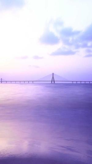 蜘蛛池新手入门推广截图3