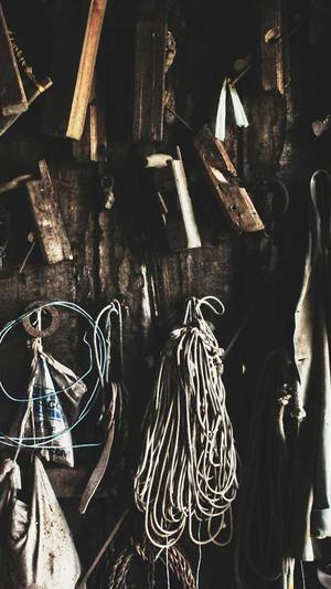 seo数据分析工具截图3