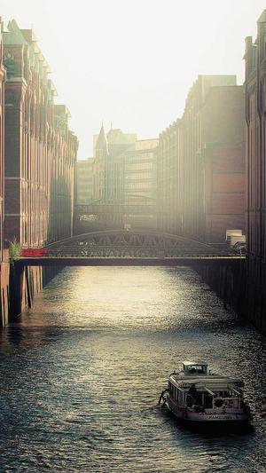 蜘蛛池咋买截图2