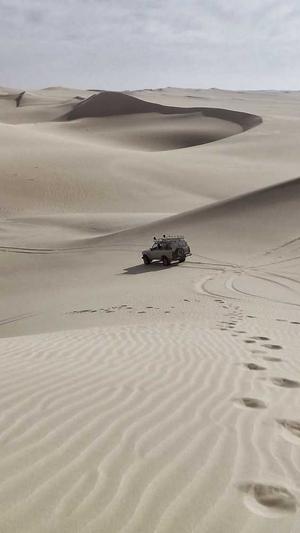 seo搜索优化工具截图1