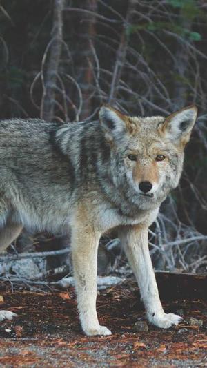 福田seo优化截图2