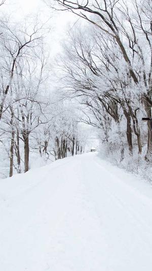 蜘蛛池免费app运营截图4