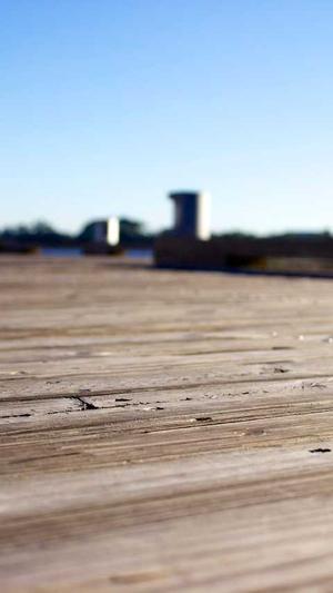 宁波seo教程泛目录截图1