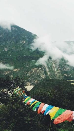 泛目录网站案例截图3