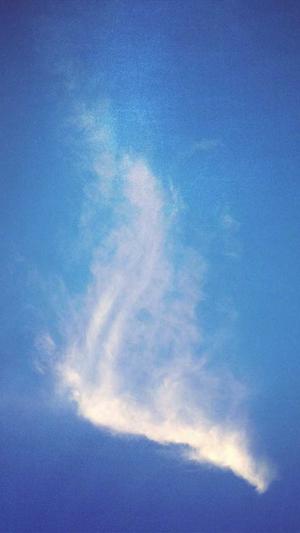 网站建设北京截图2