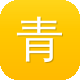 青岛seo图标